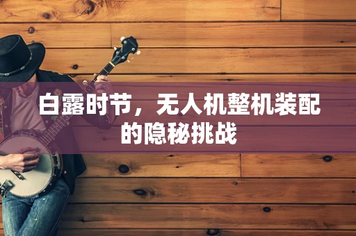 白露时节，无人机整机装配的隐秘挑战