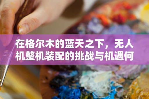 在格尔木的蓝天之下，无人机整机装配的挑战与机遇何在？
