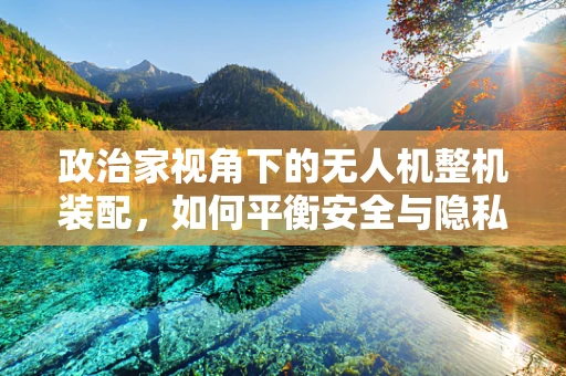 政治家视角下的无人机整机装配，如何平衡安全与隐私的边界？