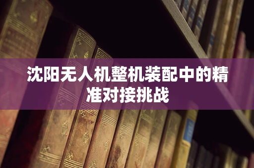 沈阳无人机整机装配中的精准对接挑战