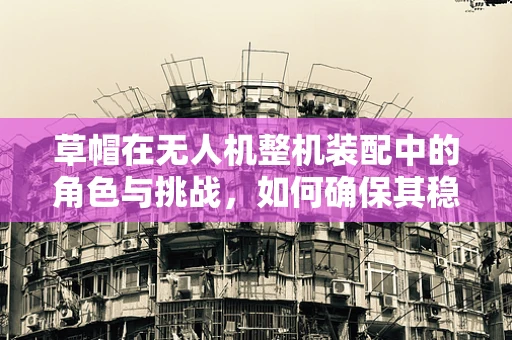 草帽在无人机整机装配中的角色与挑战，如何确保其稳固性与轻量化？