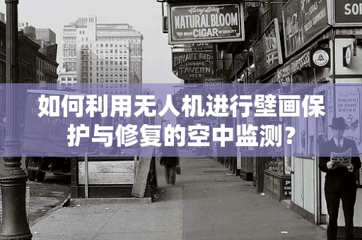 如何利用无人机进行壁画保护与修复的空中监测？