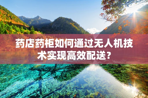 药店药柜如何通过无人机技术实现高效配送？