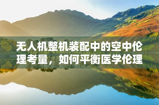 无人机整机装配中的空中伦理考量，如何平衡医学伦理与技术创新？