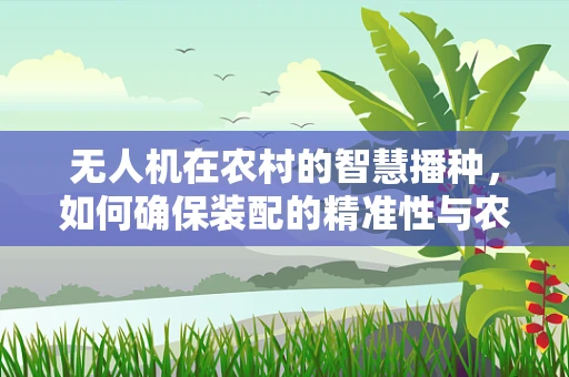无人机在农村的智慧播种，如何确保装配的精准性与农民的易用性？