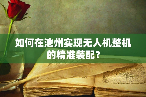 如何在池州实现无人机整机的精准装配？