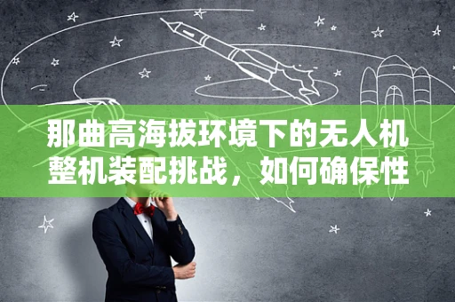 那曲高海拔环境下的无人机整机装配挑战，如何确保性能与安全？