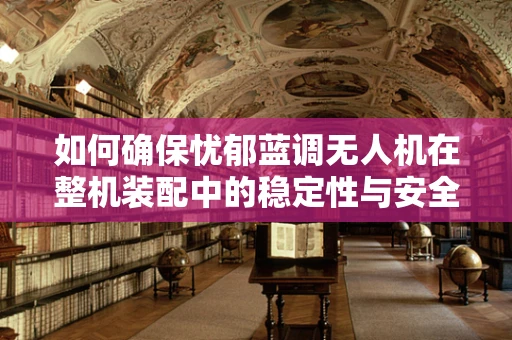 如何确保忧郁蓝调无人机在整机装配中的稳定性与安全性？
