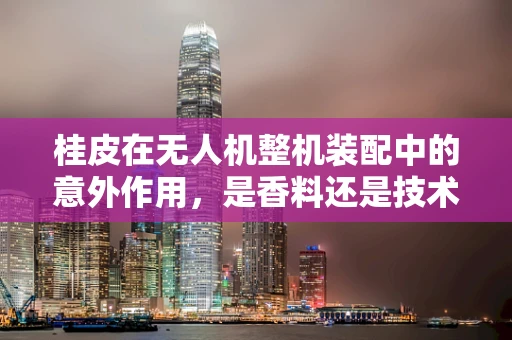 桂皮在无人机整机装配中的意外作用，是香料还是技术革新？