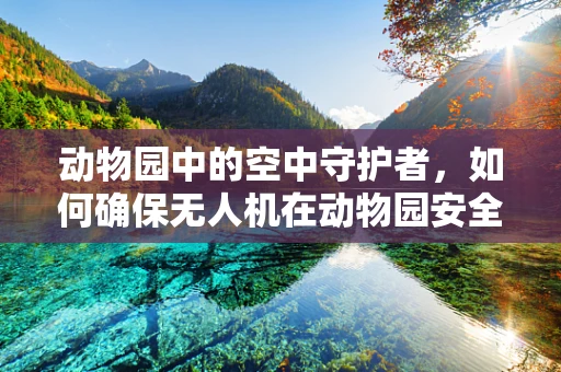 动物园中的空中守护者，如何确保无人机在动物园安全高效地执行任务？
