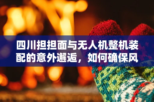 四川担担面与无人机整机装配的意外邂逅，如何确保风味与性能的完美融合？