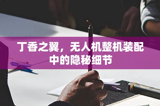 丁香之翼，无人机整机装配中的隐秘细节