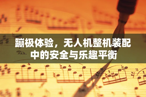 蹦极体验，无人机整机装配中的安全与乐趣平衡