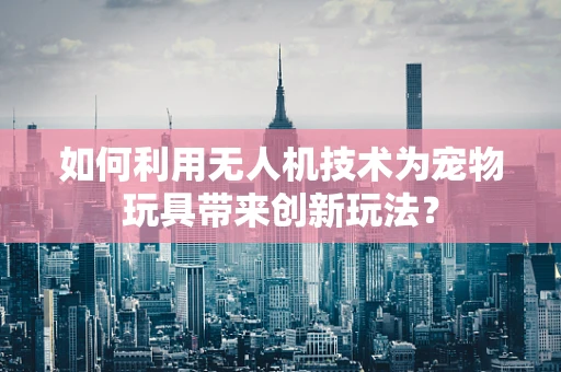 如何利用无人机技术为宠物玩具带来创新玩法？