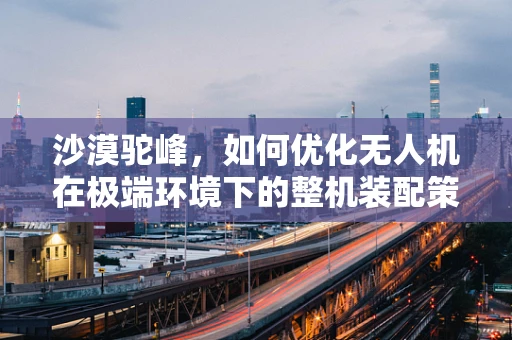 沙漠驼峰，如何优化无人机在极端环境下的整机装配策略？