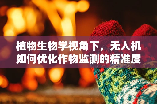 植物生物学视角下，无人机如何优化作物监测的精准度？