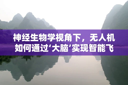 神经生物学视角下，无人机如何通过‘大脑’实现智能飞行？
