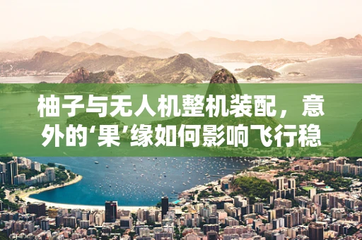 柚子与无人机整机装配，意外的‘果’缘如何影响飞行稳定性？