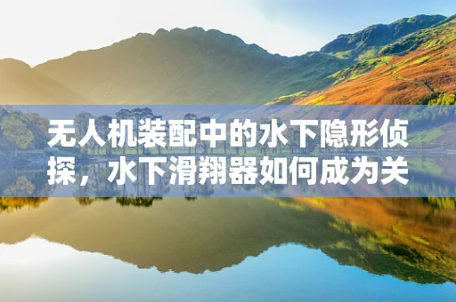无人机装配中的水下隐形侦探，水下滑翔器如何成为关键一环？