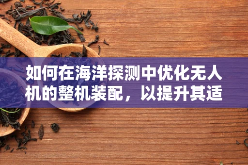 如何在海洋探测中优化无人机的整机装配，以提升其适应性与稳定性？