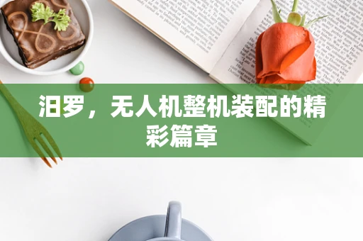 汨罗，无人机整机装配的精彩篇章