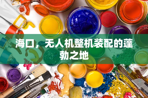 海口，无人机整机装配的蓬勃之地
