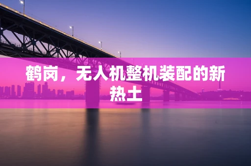 鹤岗，无人机整机装配的新热土