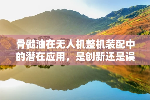 骨髓油在无人机整机装配中的潜在应用，是创新还是误解？