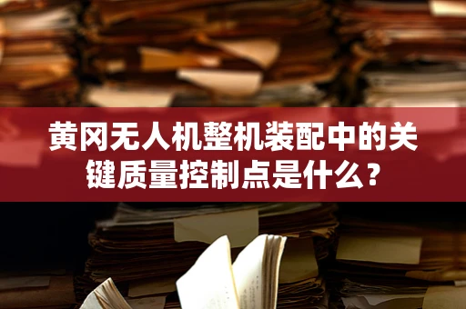 黄冈无人机整机装配中的关键质量控制点是什么？