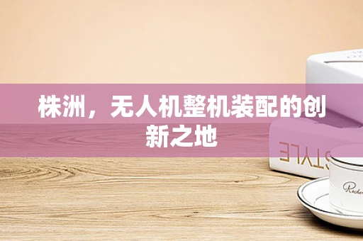 株洲，无人机整机装配的创新之地