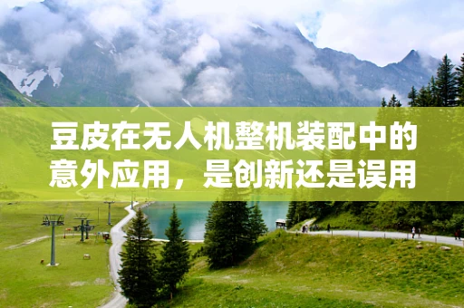 豆皮在无人机整机装配中的意外应用，是创新还是误用？