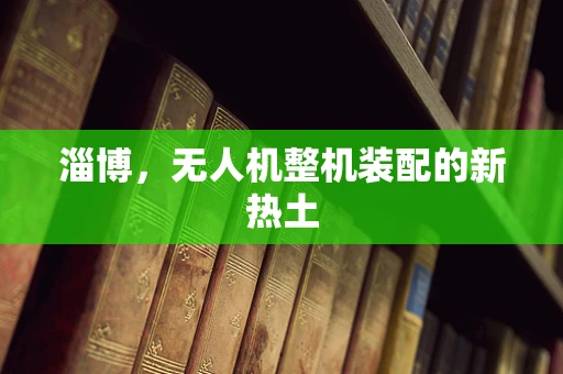 淄博，无人机整机装配的新热土