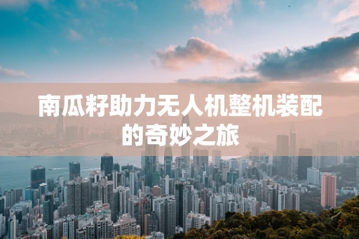 南瓜籽助力无人机整机装配的奇妙之旅
