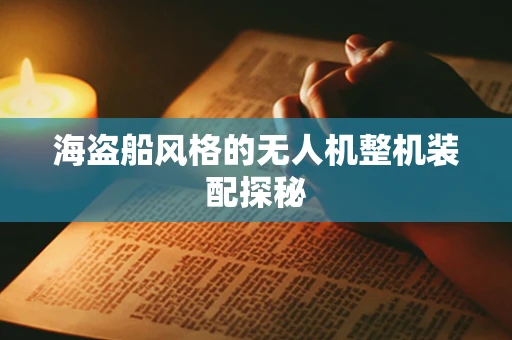 海盗船风格的无人机整机装配探秘