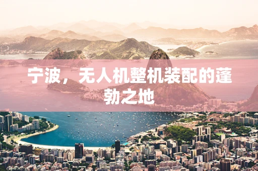 宁波，无人机整机装配的蓬勃之地