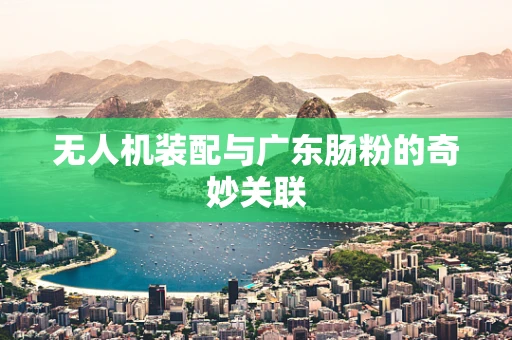无人机装配与广东肠粉的奇妙关联