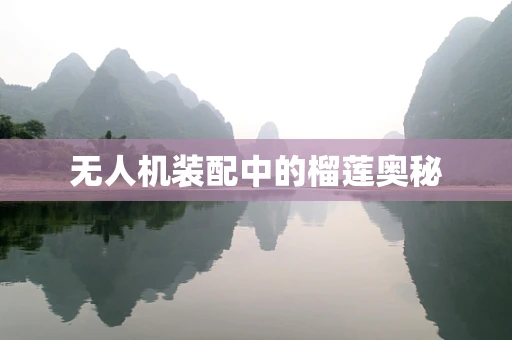 无人机装配中的榴莲奥秘