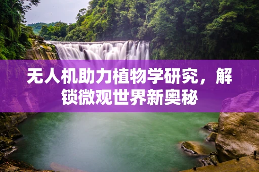 无人机助力植物学研究，解锁微观世界新奥秘