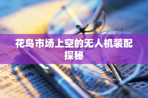花鸟市场上空的无人机装配探秘