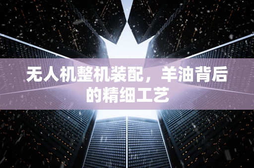 无人机整机装配，羊油背后的精细工艺