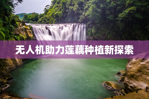 无人机助力莲藕种植新探索
