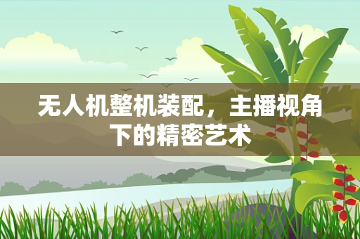 无人机整机装配，主播视角下的精密艺术