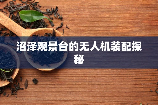 沼泽观景台的无人机装配探秘