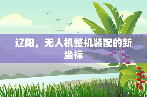 辽阳，无人机整机装配的新坐标