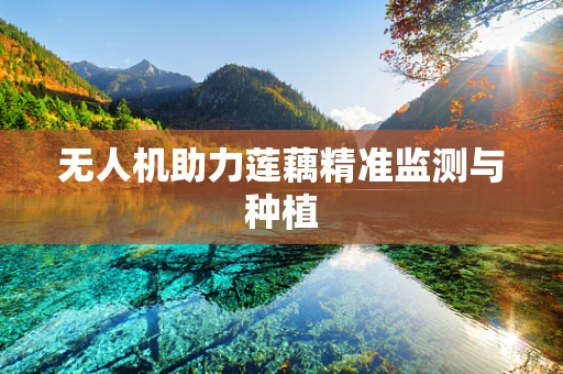 无人机助力莲藕精准监测与种植