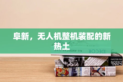 阜新，无人机整机装配的新热土