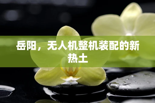 岳阳，无人机整机装配的新热土