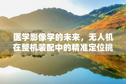 医学影像学的未来，无人机在整机装配中的精准定位挑战与解决方案