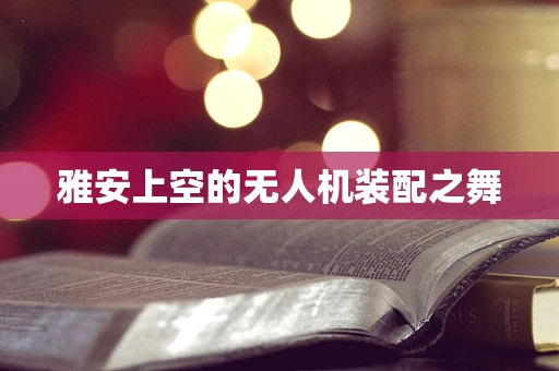 雅安上空的无人机装配之舞