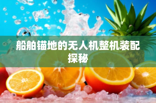 船舶锚地的无人机整机装配探秘